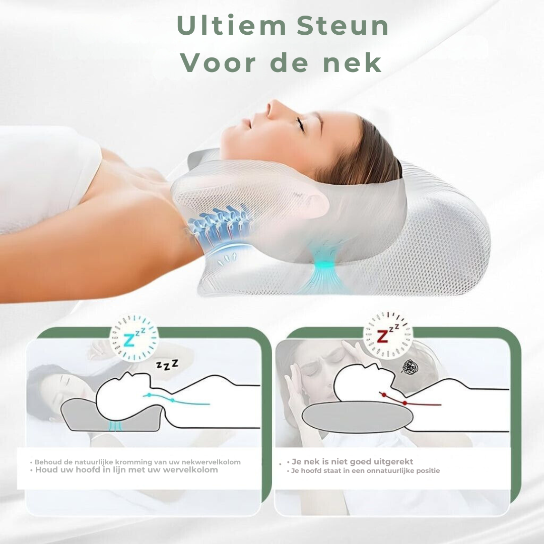 Neck Pillow | Ergonomic Memory Foam & Breathable Mesh