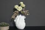 Anatomical Heart Vase