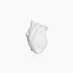 Anatomical Heart Vase