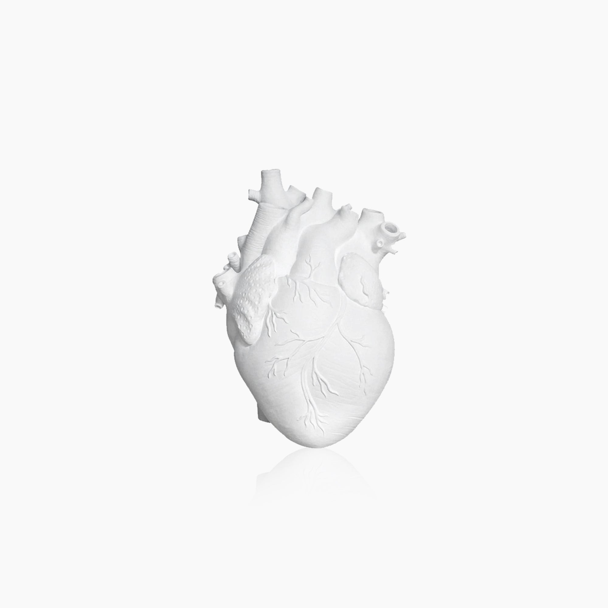 Anatomical Heart Vase