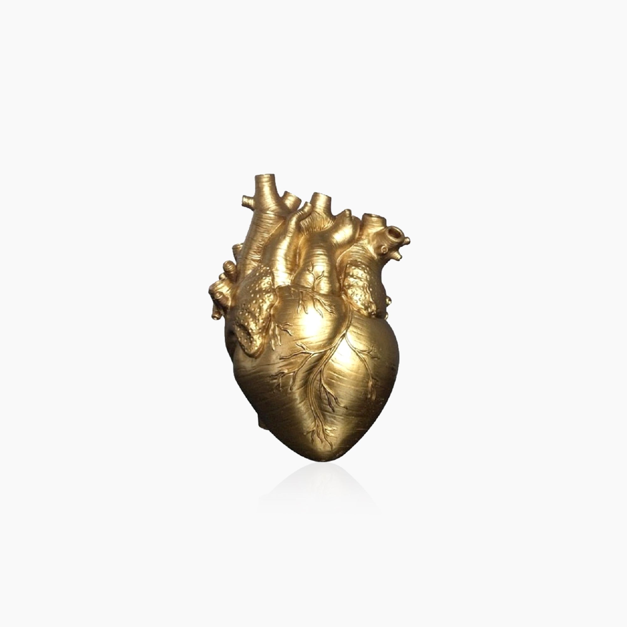 Anatomical Heart Vase