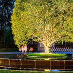 Arborix LED Outdoor Spotlight