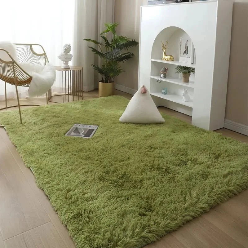 Area Rug