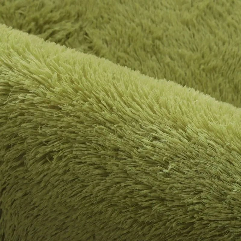 Area Rug