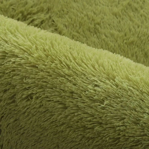 Area Rug