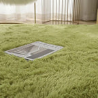 Area Rug