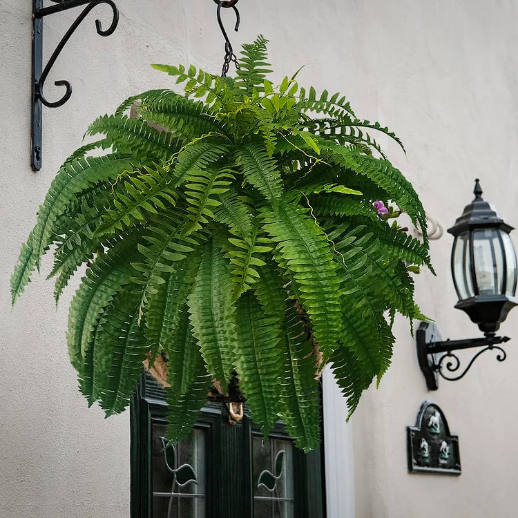 Artificial Boston Fern Plant