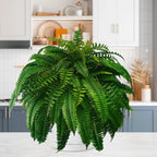Artificial Boston Fern Plant