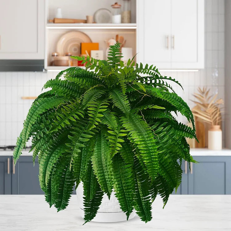 Artificial Boston Fern Plant