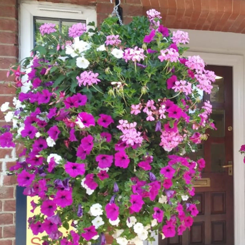 Artificial Morning Glory Hanging Flowers