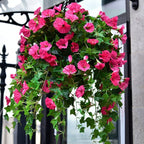 Artificial Morning Glory Hanging Flowers