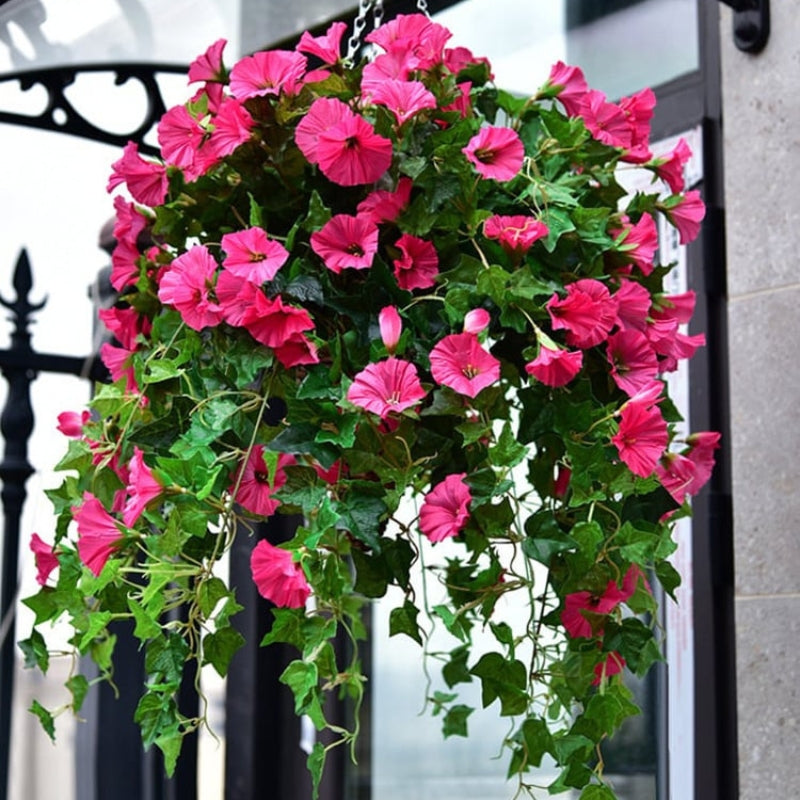Artificial Morning Glory Hanging Flowers