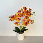 Artificial Orchid Plant | Realistic Design & Low-Maintenance