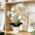 Artificial Orchid Plant | Realistic Design & Low-Maintenance