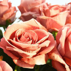 Artificial Rose Stems | Silk-Look Flannel Petals & Flexible Stem | Set of 10
