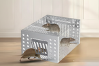 Mouse Trap | Automatic Multi-Catch & Galvanized Steel | No-Contact Disposal