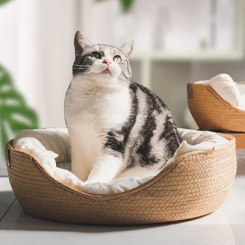 Bamboo Pet Bed