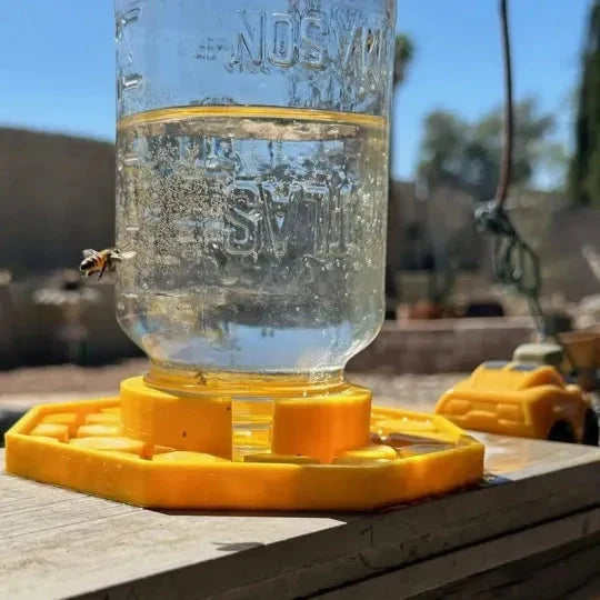 Bee Waterer | Ultra-Flat Channels & Landing Zones | Fits Standard Mason Jars