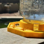 Bee Waterer | Ultra-Flat Channels & Landing Zones | Fits Standard Mason Jars