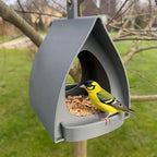 Bird Feeder | Protective Roof, Hanging Loop & Easy-Clean