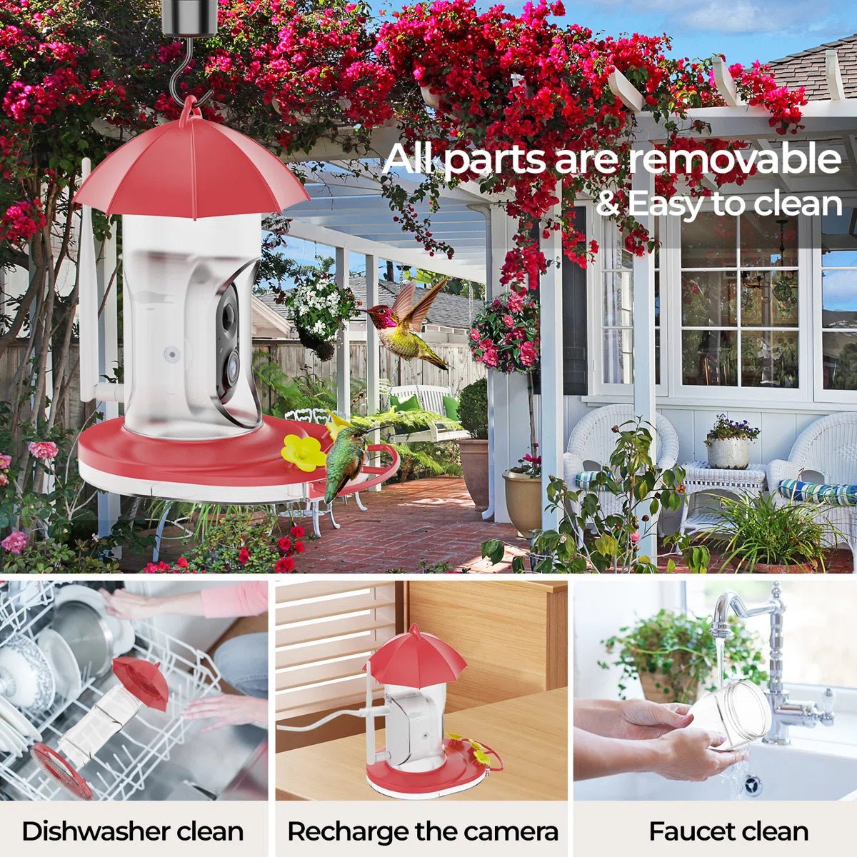Bird Feeder | 1080P Wide-Angle Camera | Solar & USB Charging