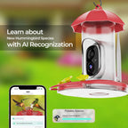 Bird Feeder | 1080P Wide-Angle Camera | Solar & USB Charging
