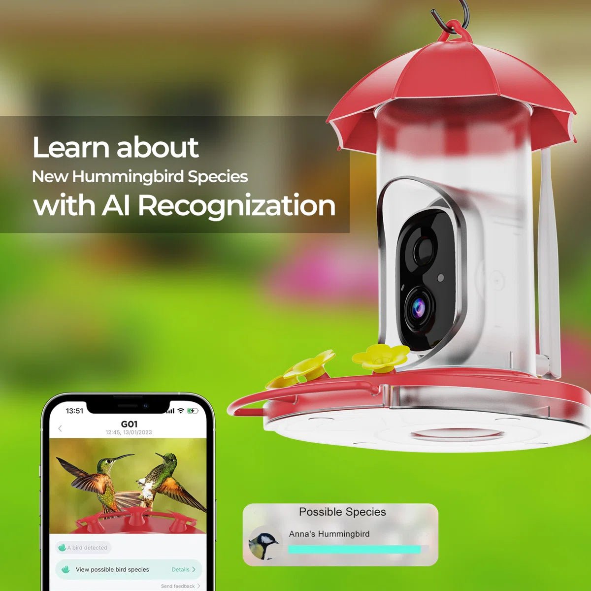 Bird Feeder | 1080P Wide-Angle Camera | Solar & USB Charging