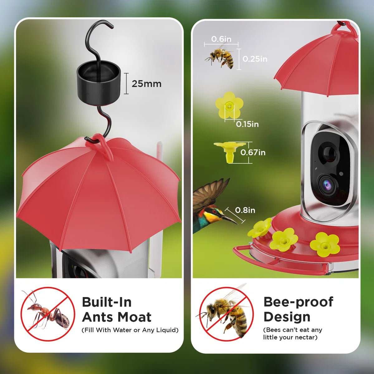 Bird Feeder | 1080P Wide-Angle Camera | Solar & USB Charging