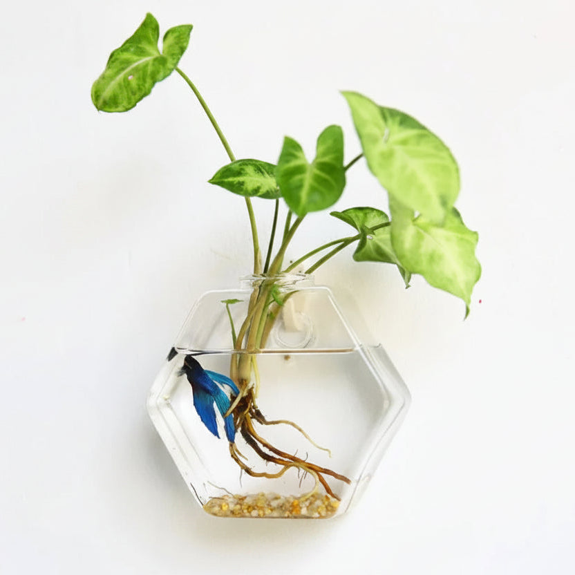 Wall Vase | Clear Borosilicate Glass | Eight Assorted Shapes