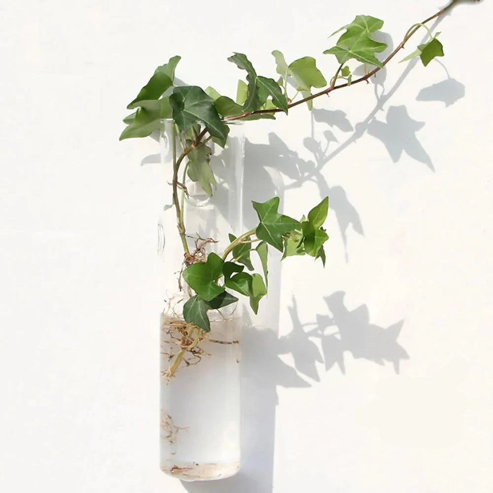 Wall Vase | Clear Borosilicate Glass | Eight Assorted Shapes