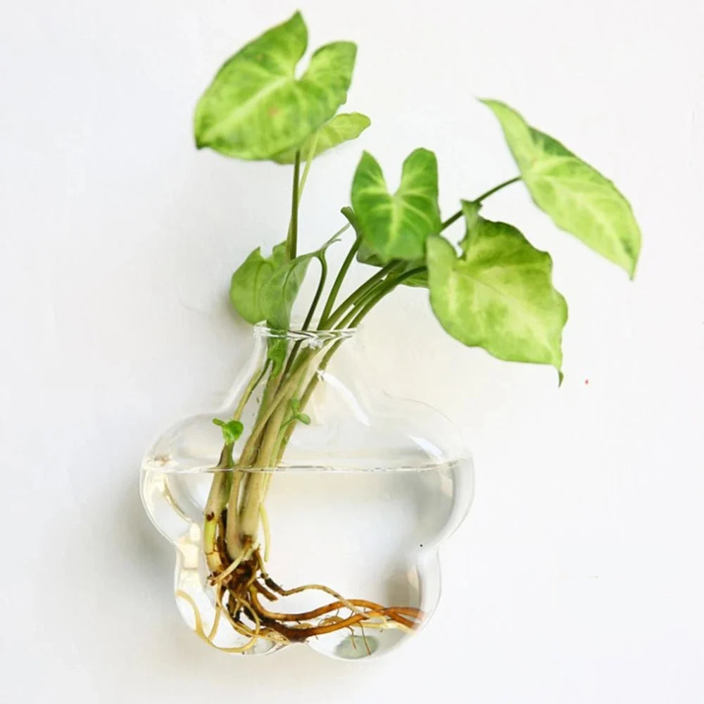 Wall Vase | Clear Borosilicate Glass | Eight Assorted Shapes