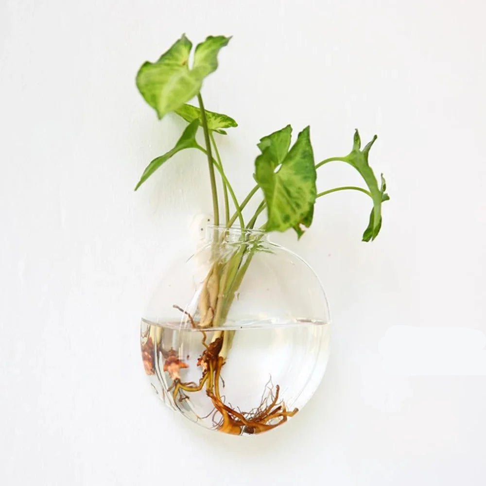 Wall Vase | Clear Borosilicate Glass | Eight Assorted Shapes