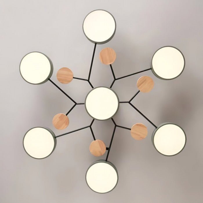 Branched LED Ceiling Light
