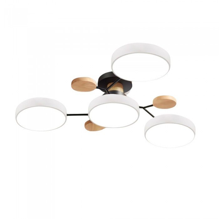 Branched LED Ceiling Light