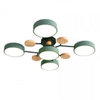 Branched LED Ceiling Light