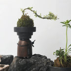 Candle Holder | Sculptural Cement & Wood
