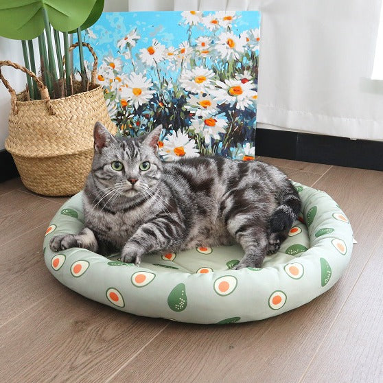 Cat Bed | Plush Padded & Machine-Washable | Avocado Design