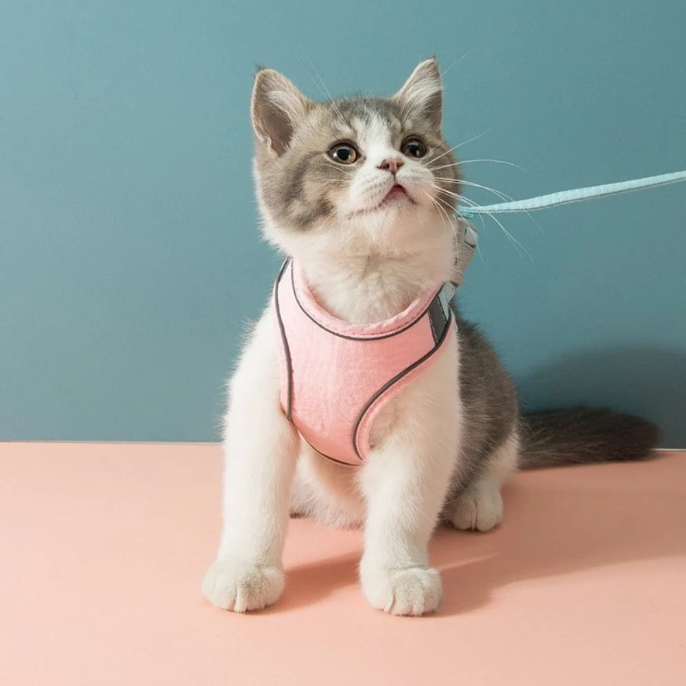 Cat Harness | Escape-Proof & Breathable Fabric | Adjustable Straps