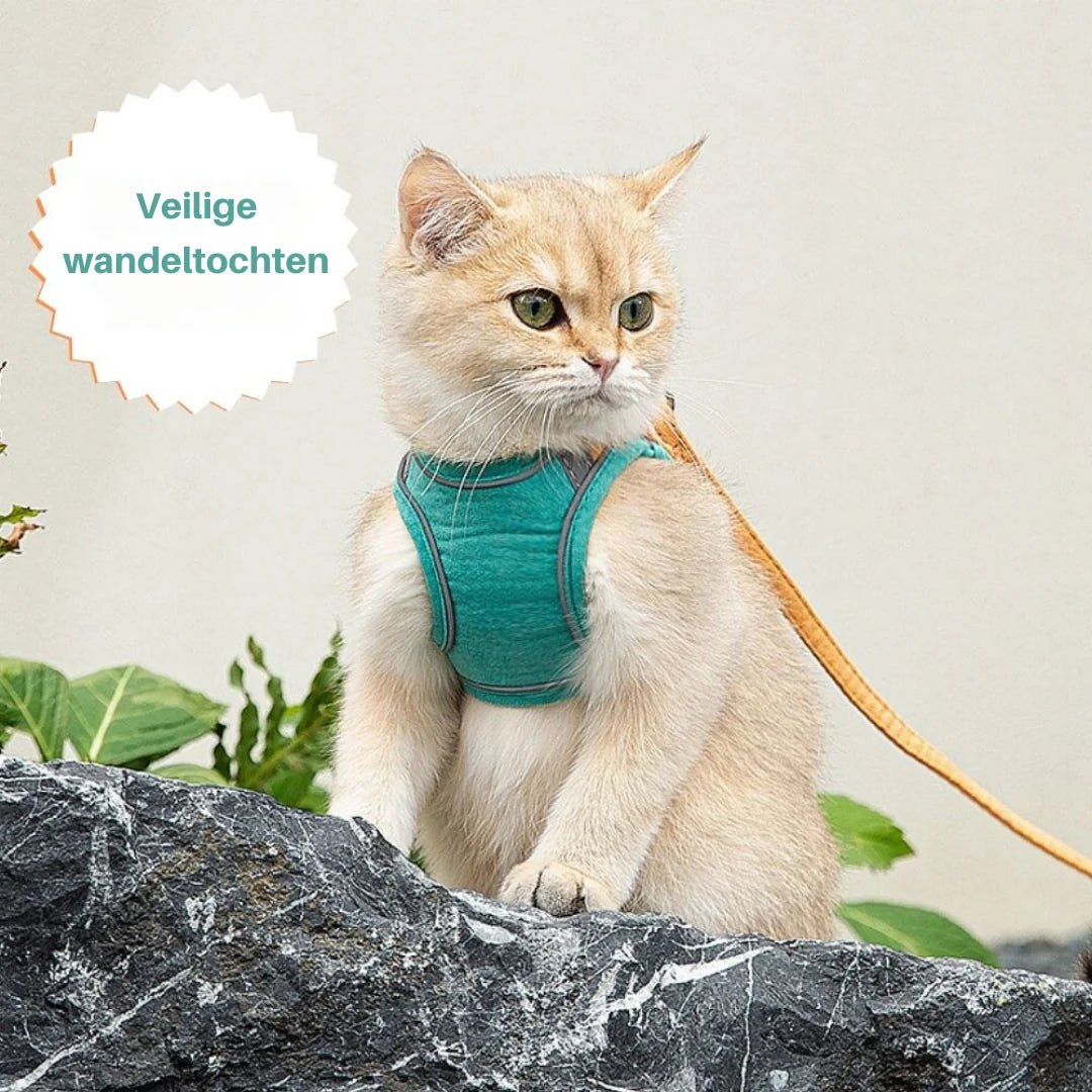Cat Harness | Escape-Proof & Breathable Fabric | Adjustable Straps