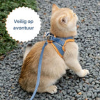 Cat Harness | Escape-Proof & Breathable Fabric | Adjustable Straps