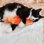 Cat Toy Set | Motion-Activated & USB-Rechargeable | Set of 4