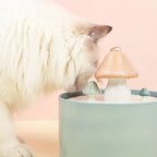 Cat Water Fountain | Ceramic Mushroom & 5-Stage Filtration