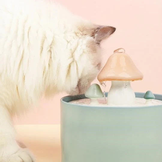 Cat Water Fountain | Ceramic Mushroom & 5-Stage Filtration