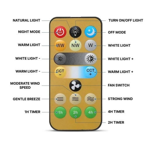 Ceiling Fan With LED Light | Remote Control