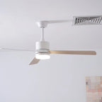 Ceiling Fan With Light | Reversible DC Motor & Remote | 132 cm Diameter