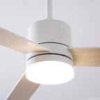 Ceiling Fan With Light | Reversible DC Motor & Remote | 132 cm Diameter