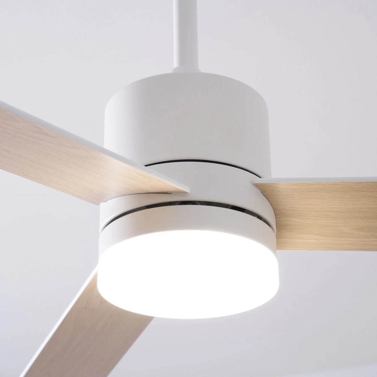 Ceiling Fan With Light | Reversible DC Motor & Remote | 132 cm Diameter