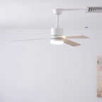 Ceiling Fan With Light | Reversible DC Motor & Remote | 132 cm Diameter