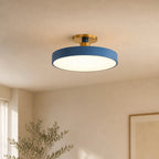 Ceiling Lamp | Acrylic & Energy-Saving LED | 30/40/49 cm