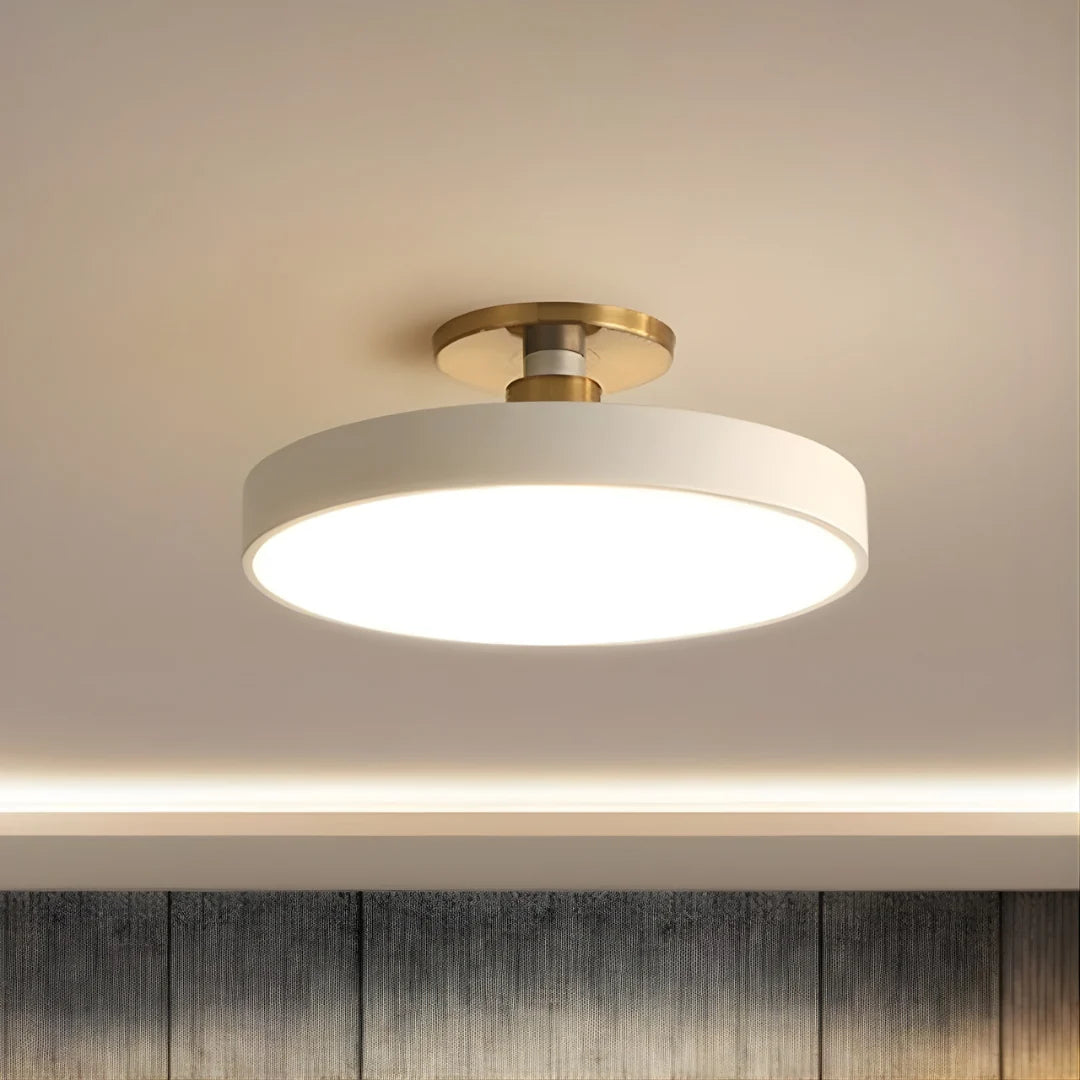 Ceiling Lamp | Acrylic & Energy-Saving LED | 30/40/49 cm